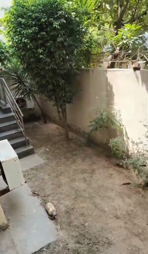 3 BHK Apartment – Garden View at Ansal API Esencia, Sector 67 - for Rent