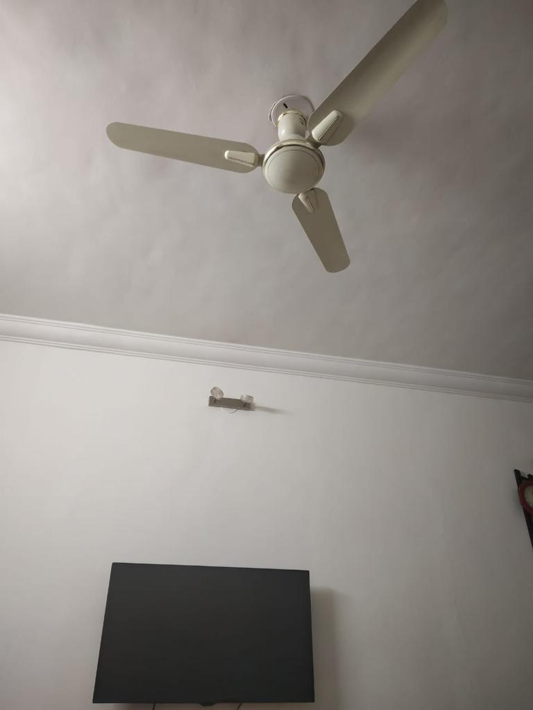 2 BHK 1240 Sq.Ft. Apartment in Lushlife Ovo