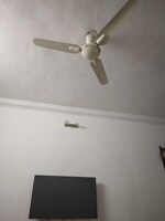 2 BHK 1240 Sq.Ft. Apartment in Lushlife Ovo