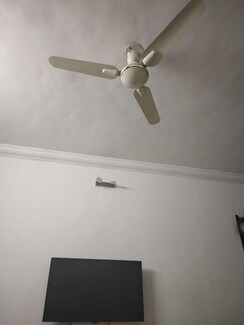 2 BHK Apartment For Rent in Lushlife Ovo