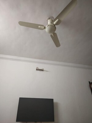 2 BHK Apartment For Rent in Lushlife Ovo, Undri