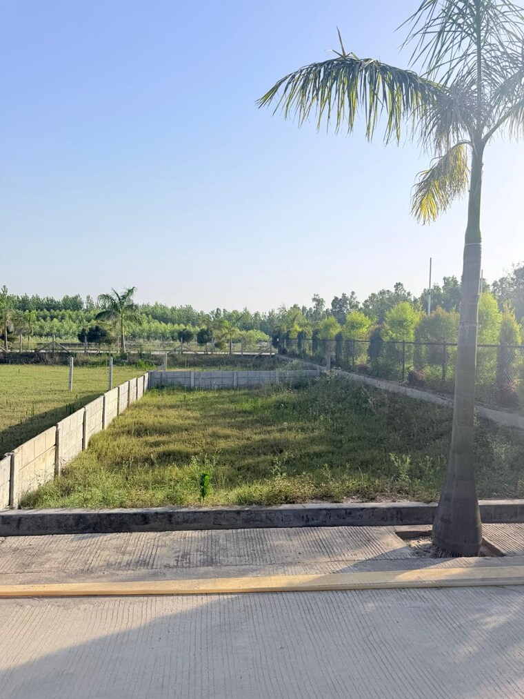 undefined, biharigarh  182 Sq.Yd. Plot In Biharigarh Dehradun 10404687