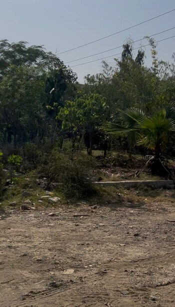 Plot for Sale in Suncity, Gurgaon