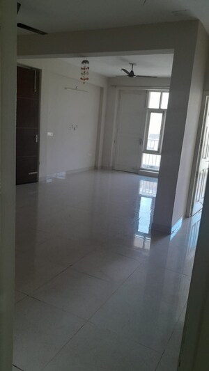 3 BHK Builder Floor For Sale in TDI The Grand Retreat, Sector 88