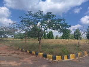 Plot Area in  Plot at Vasudaika Cosmo Celesse, Nazdik Singaram – for Sale