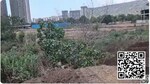 101277 Sq.Ft. Plot in Kharghar