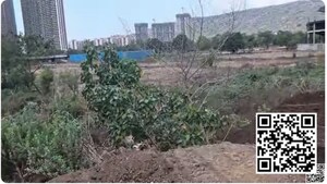  Plot For Sale in Kharghar