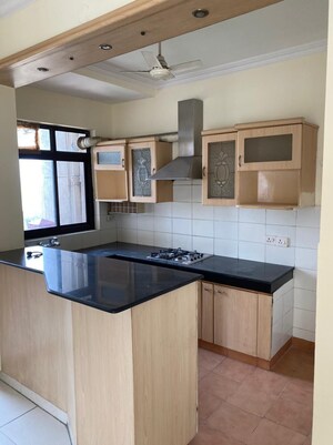 Kitchen in 3 BHK Apartment at Ardee City Palm Grove Heights, Sector 52 – for Rent