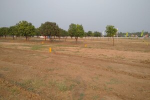  Plot For Sale in Amangal