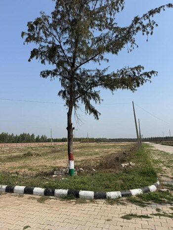 Plot for Sale in Sector 14, Palwal
