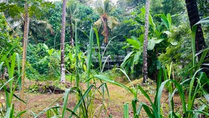  Plot – Garden View at Viyyur - for Sale