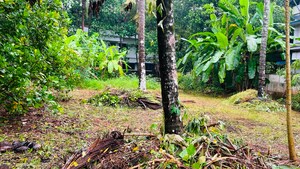  Plot – Garden View at Viyyur - for Sale