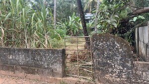 Plot Area in  Plot at Viyyur – for Sale