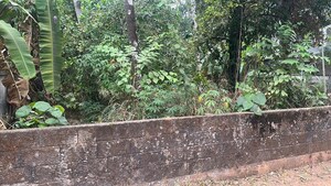 Plot Area in  Plot at Viyyur – for Sale