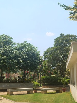 3 BHK Apartment For Rent in INDIS Viva City, Kondapur