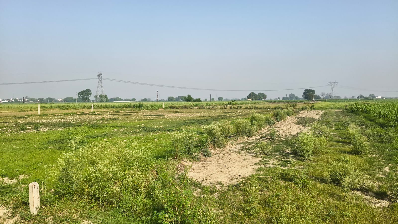 Land for Sale in Jewar, Greater Noida