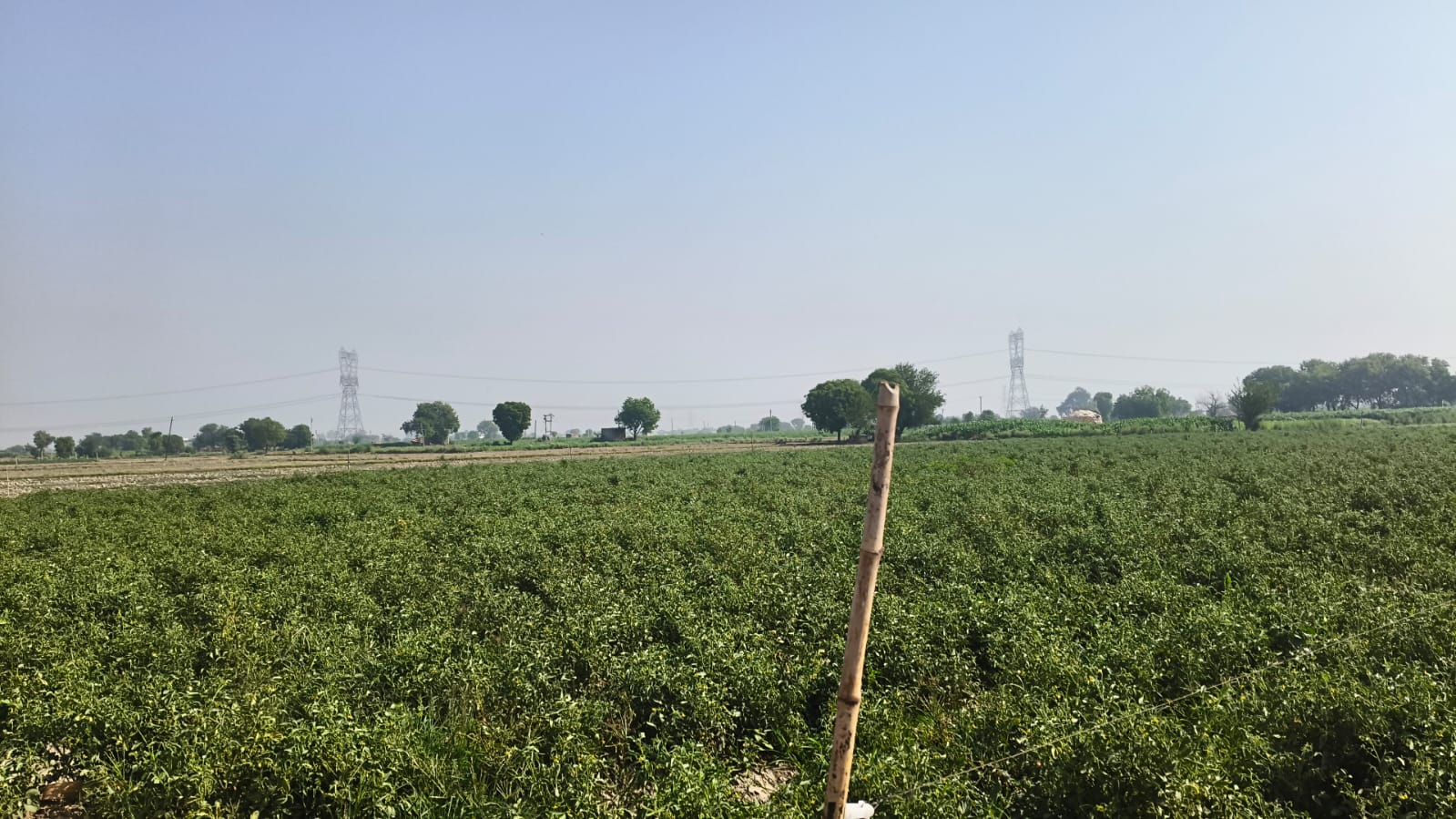 Land for Sale in Jewar, Greater Noida