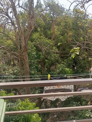Balcony in 1 RK Builder Floor at Jawahar Nagar – for Rent