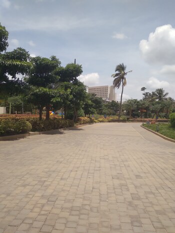 Century Breeze