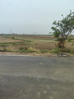   Plot at Badli  – for Sale
