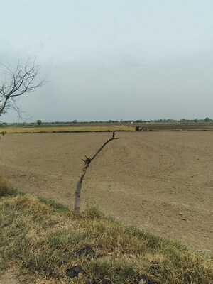 Plot Area in  Plot at Badli  – for Sale