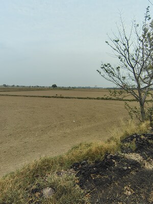   Plot at Badli  – for Sale