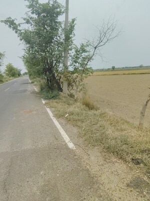 Plot Area in  Plot at Badli  – for Sale
