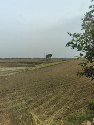 Plot Area in  Plot at Badli  – for Sale