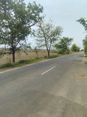   Plot at Badli  – for Sale