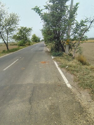  Plot For Sale in Badli 