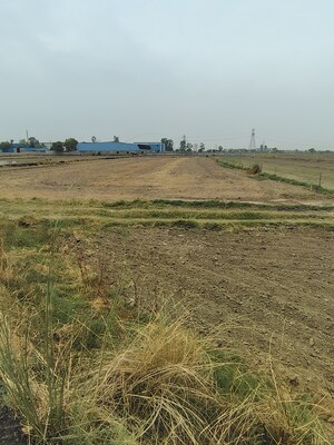 Plot Area in  Plot at Badli  – for Sale