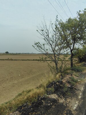 Plot Area in  Plot at Badli  – for Sale