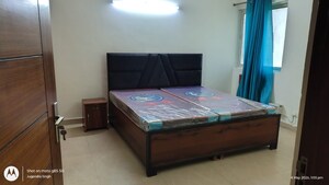 3 BHK Apartment For Rent in Sikka Kimaantra Greens, Sector 79