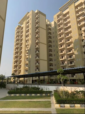 2 BHK Apartment For Rent in AWHO 8B, Vrindavan Yojna