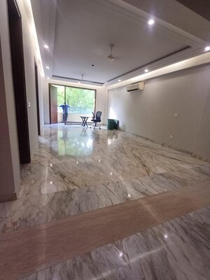3 BHK Builder Floor For Rent in Pamposh Enclave