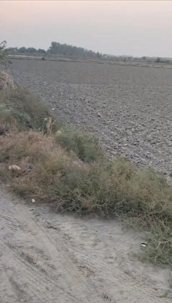 Plot for Sale in New Hb Colony, Panipat