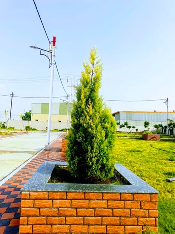 Plot for Sale in Ringnodiya, Indore