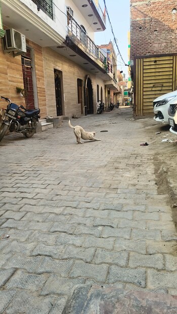 Plot for Sale in Sector 86, Faridabad