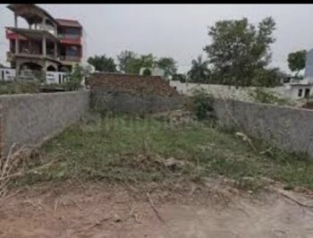 Amrapali Sapphire