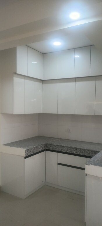 GLS Avenue 81