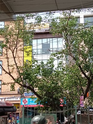  Shop – Exterior View View at Lalita Park - for Rent