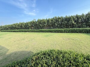Plot Area in  Plot at Jewar – for Sale
