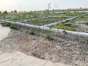  Plot For Sale in Jewar