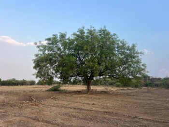 Plot for Sale in Srisailam Town, Srisailam