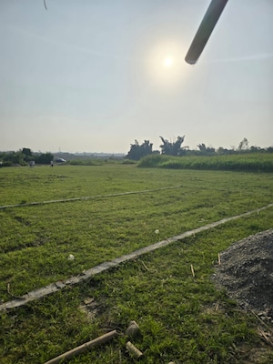 Plot Area in  Plot at Sherpur – for Sale