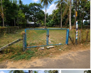  Plot For Sale in Kuttanellur