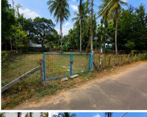 Plot Area in  Plot at Kuttanellur – for Sale