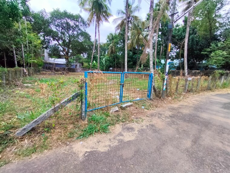undefined, kuttanellur  9583 Sq.Ft. Plot In Kuttanellur Thrissur 10496689
