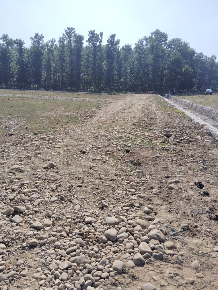 Garden, kalyanpur  100 Sq.Yd. Plot In Kalyanpur Dehradun 10496649