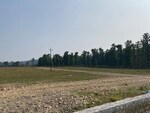 100 Sq.Yd. Plot in Kalyanpur